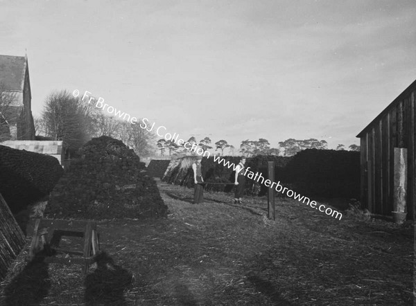 MUINTIR NA TIRE  TURFSTOCKS OUTSIDE PARISH CHURCH